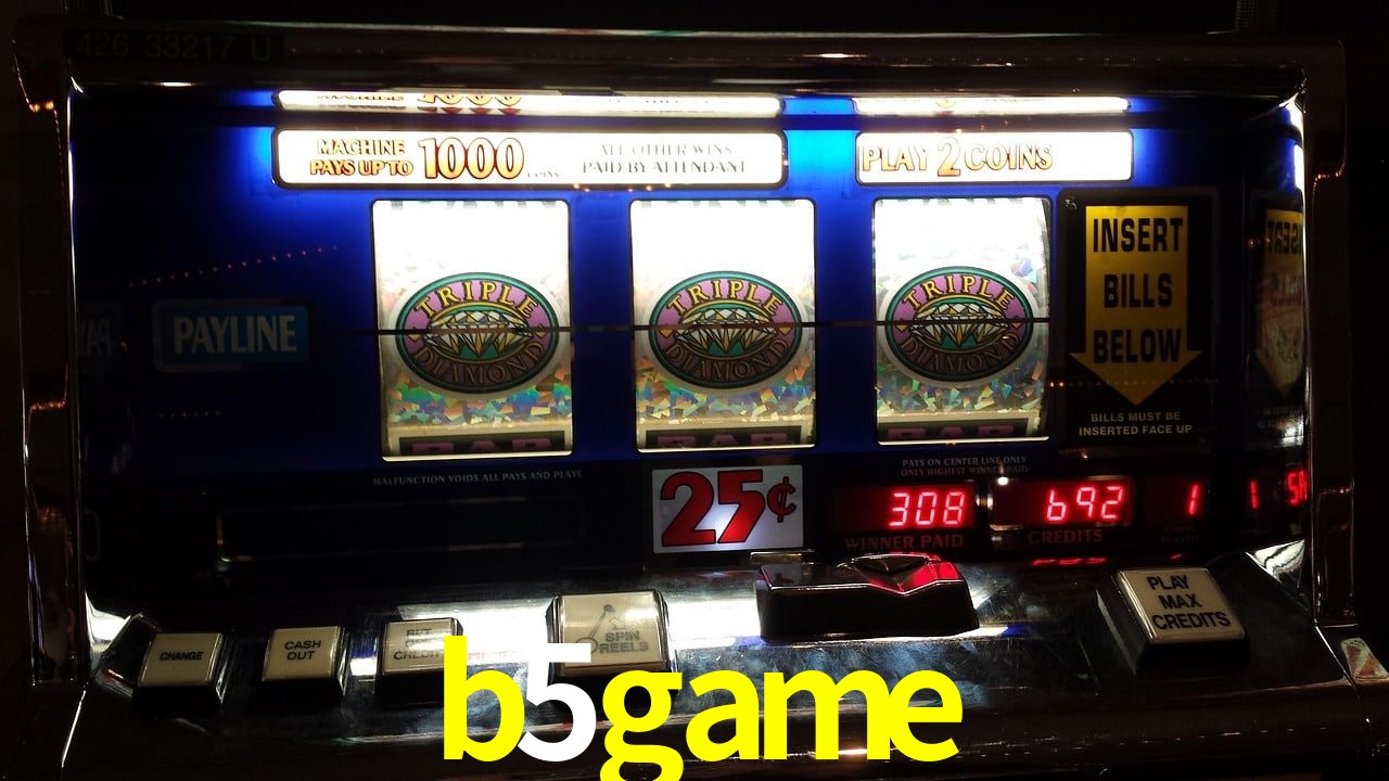 Sports Statistics b5game